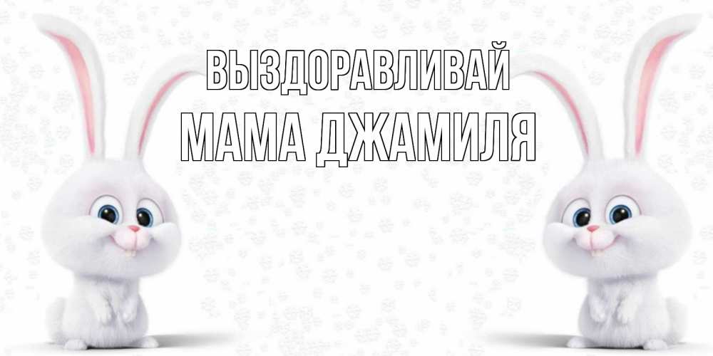 Открытка на каждый день с именем, Мама-Джамиля Выздоравливай не болей с зайцем Прикольная открытка с пожеланием онлайн скачать бесплатно 