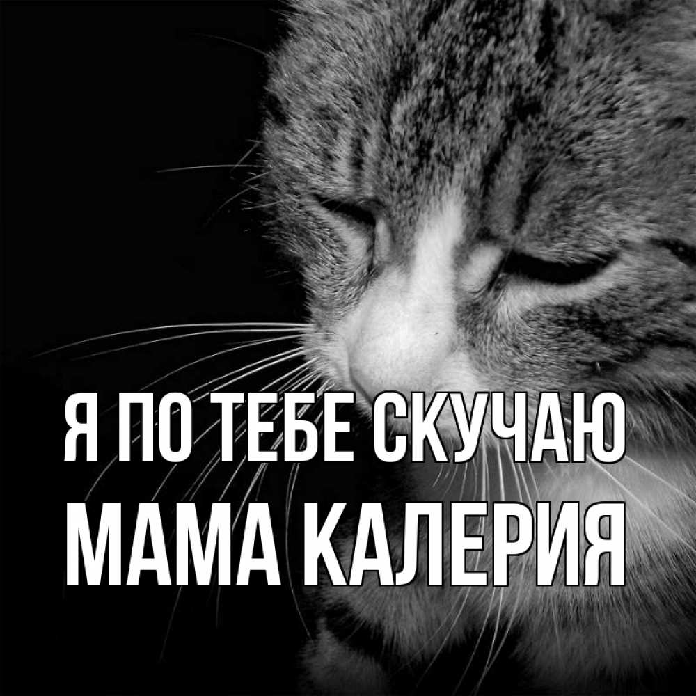 Открытка на каждый день с именем, Мама-Калерия Я по тебе скучаю мне скучно Прикольная открытка с пожеланием онлайн скачать бесплатно 