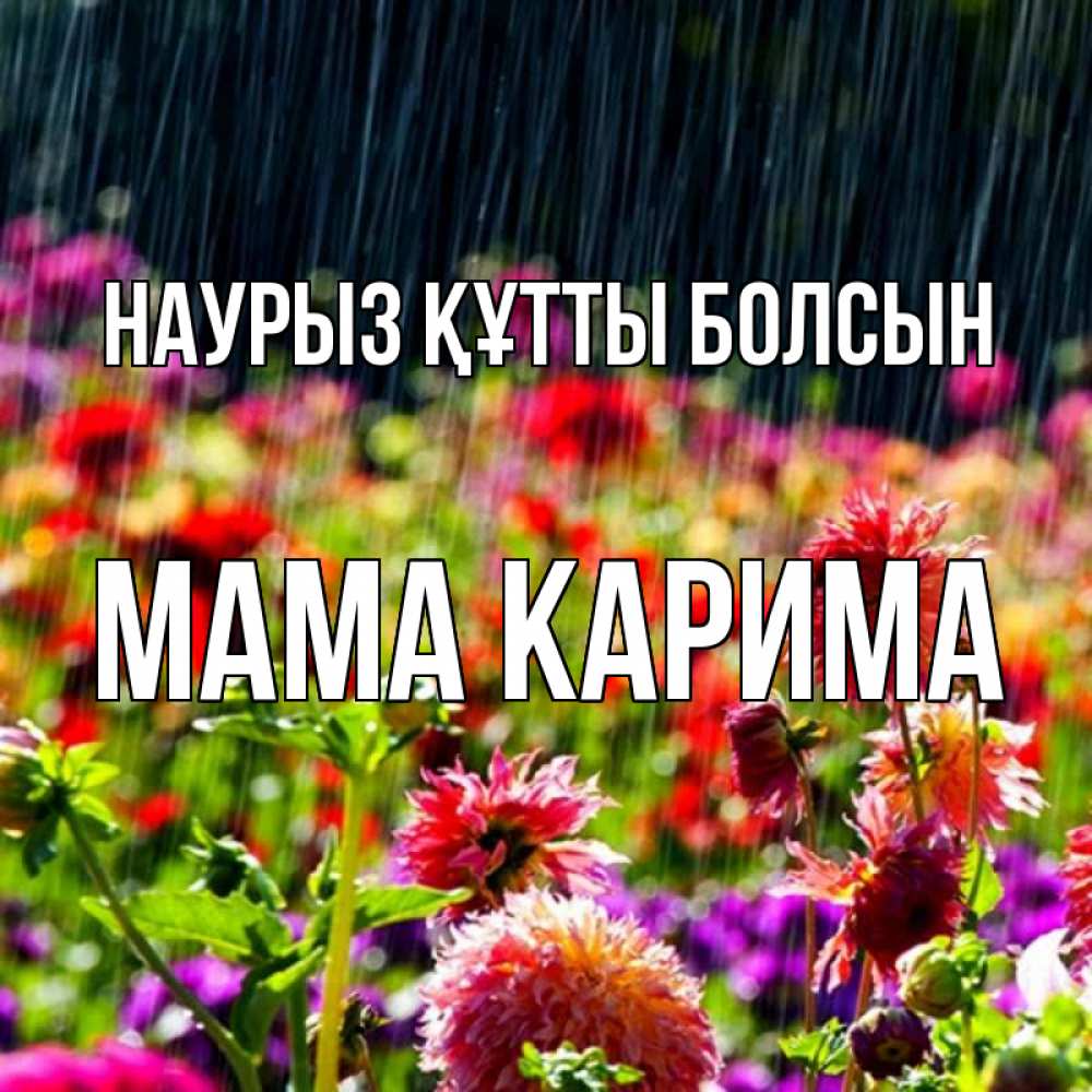 Открытка на каждый день с именем, Мама-Карима Наурыз құтты болсын цветы под дождиком к наурызу Прикольная открытка с пожеланием онлайн скачать бесплатно 