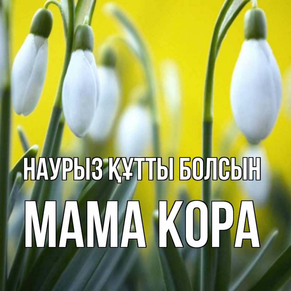 Открытка на каждый день с именем, Мама-Кора Наурыз құтты болсын весенние цветы Прикольная открытка с пожеланием онлайн скачать бесплатно 