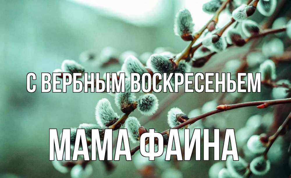 Открытка на каждый день с именем, Мама-Фаина С вербным воскресеньем верба Прикольная открытка с пожеланием онлайн скачать бесплатно 