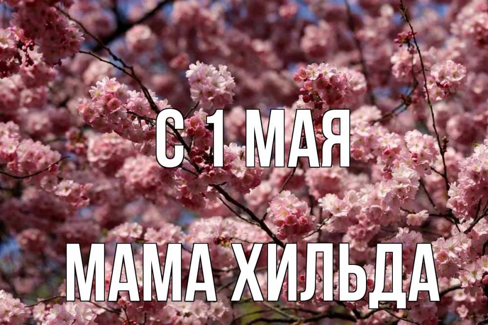 Открытка на каждый день с именем, Мама-Хильда С 1 мая С 1 мая Прикольная открытка с пожеланием онлайн скачать бесплатно 