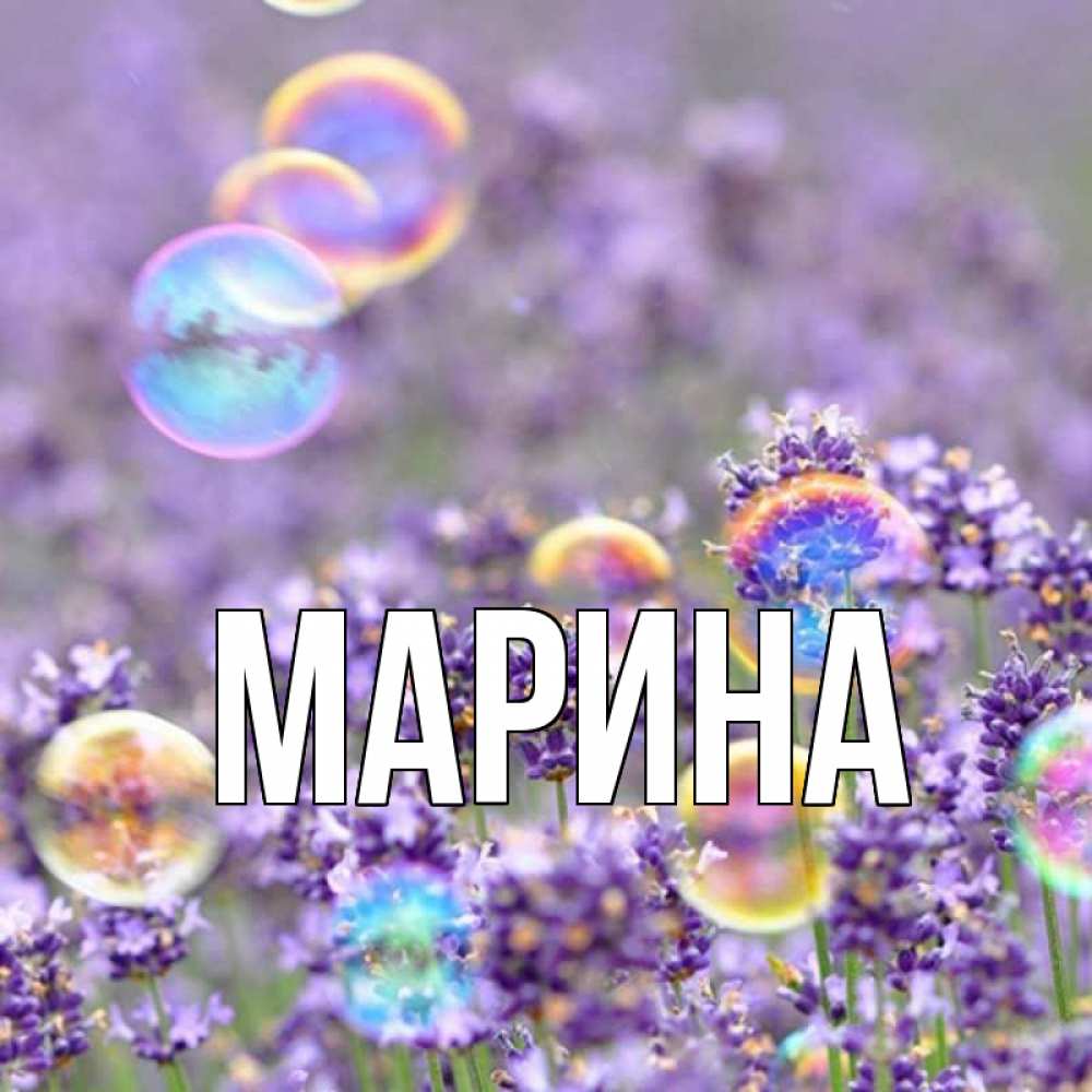 Открытка на каждый день с именем, Марина Главная цветы Прикольная открытка с пожеланием онлайн скачать бесплатно 