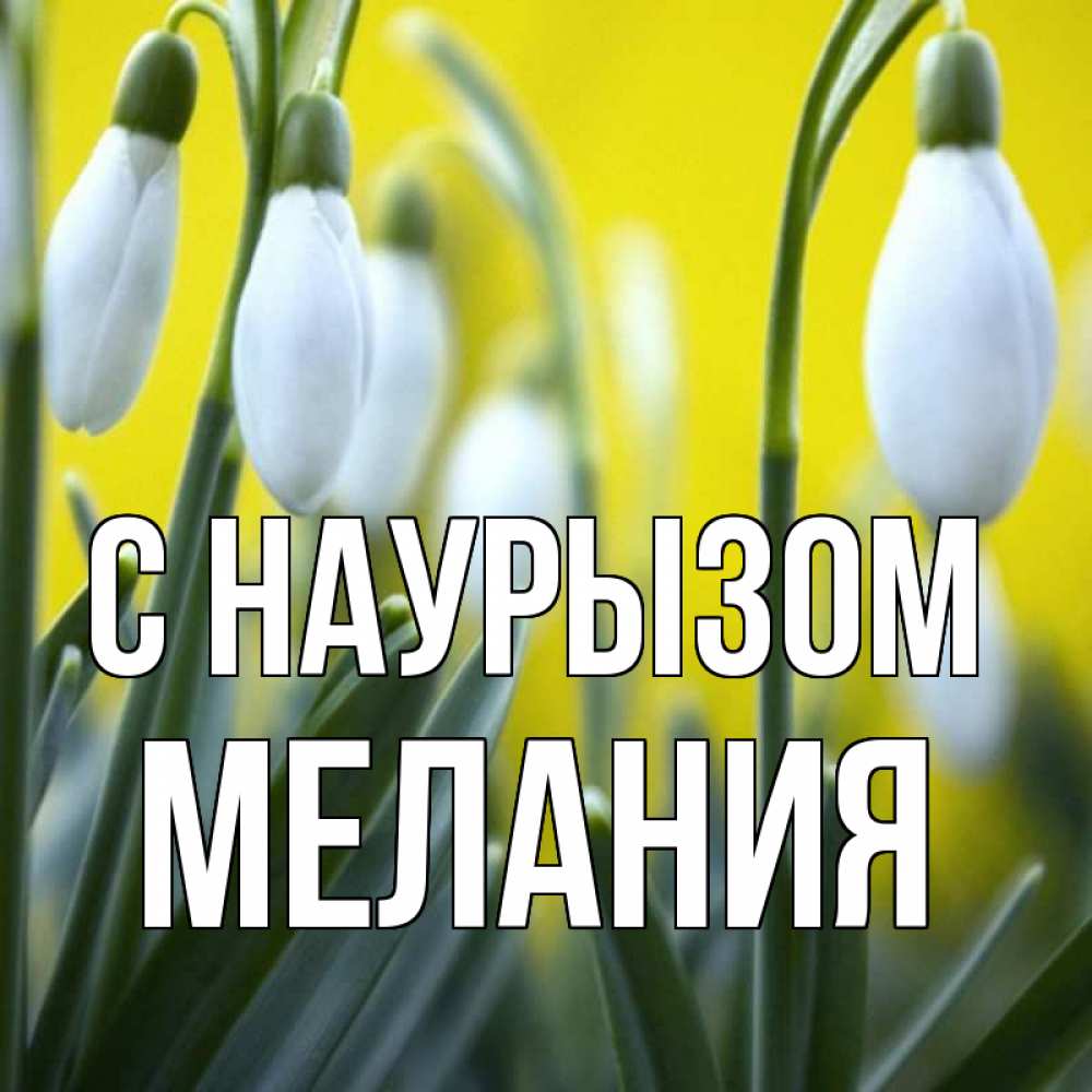 Открытка на каждый день с именем, Мелания С наурызом весенние цветы Прикольная открытка с пожеланием онлайн скачать бесплатно 