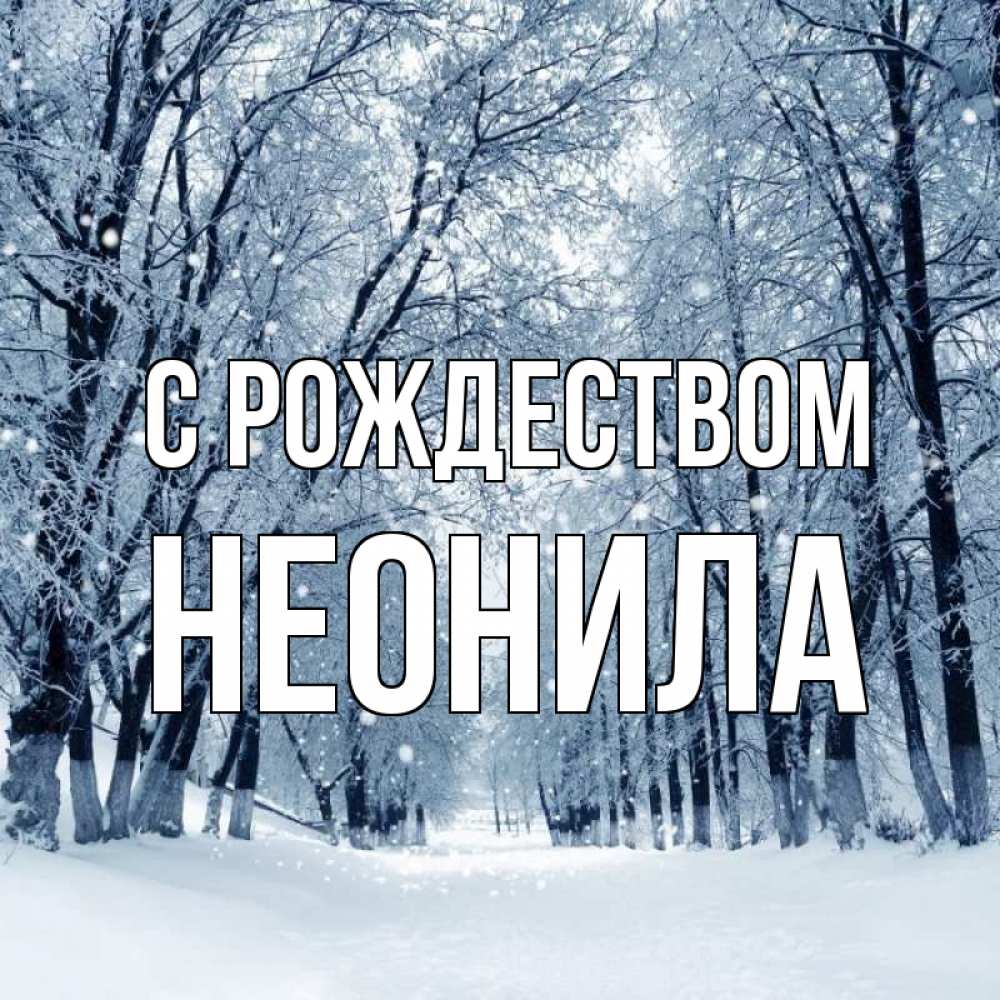 Открытка на каждый день с именем, Неонила С рождеством снег, лес, парк Прикольная открытка с пожеланием онлайн скачать бесплатно 