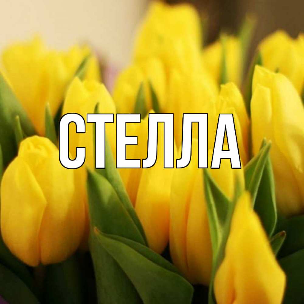 Открытка на каждый день с именем, Стелла Главная цветы Прикольная открытка с пожеланием онлайн скачать бесплатно 