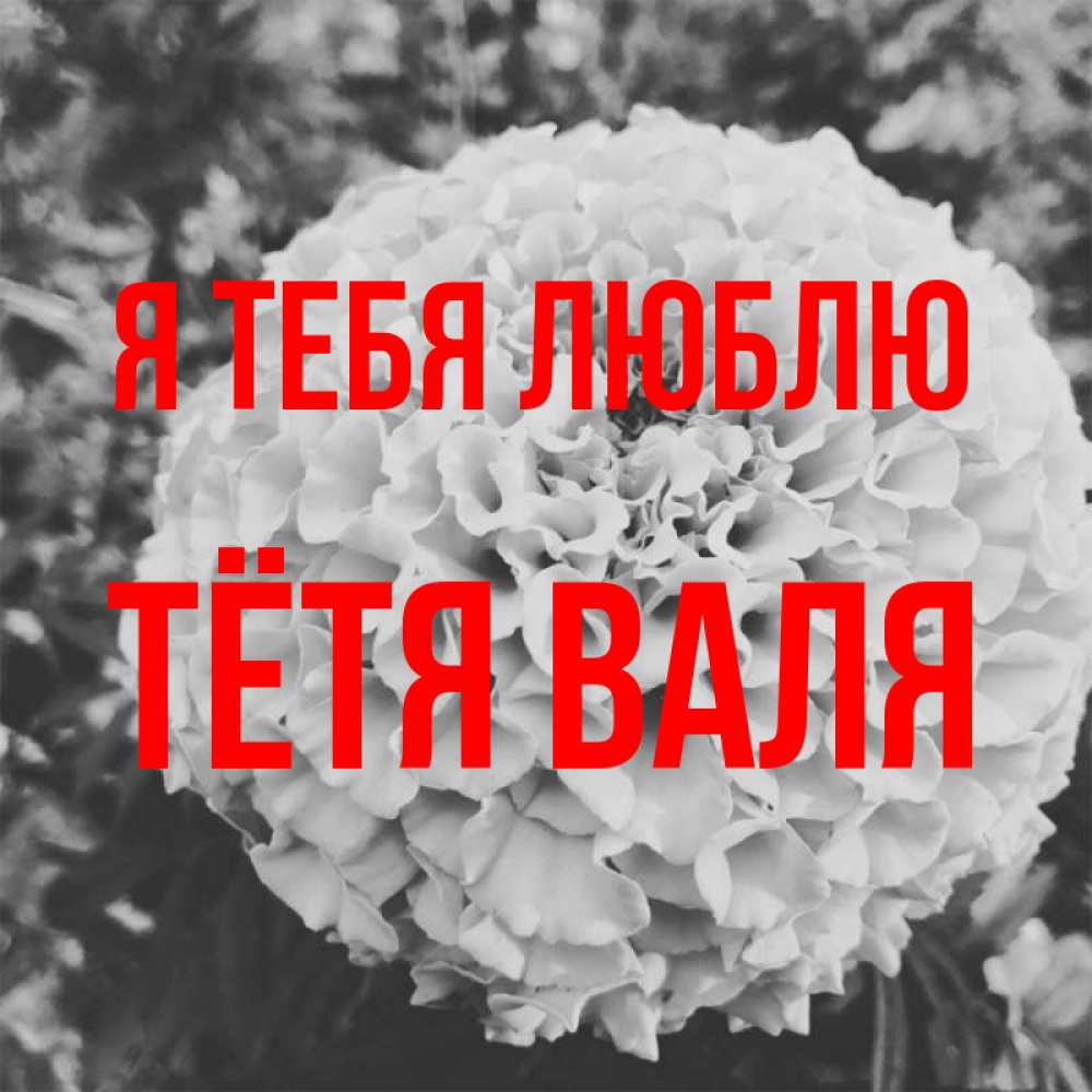 Открытка на каждый день с именем, Тётя-Валя Я тебя люблю подпись Прикольная открытка с пожеланием онлайн скачать бесплатно 