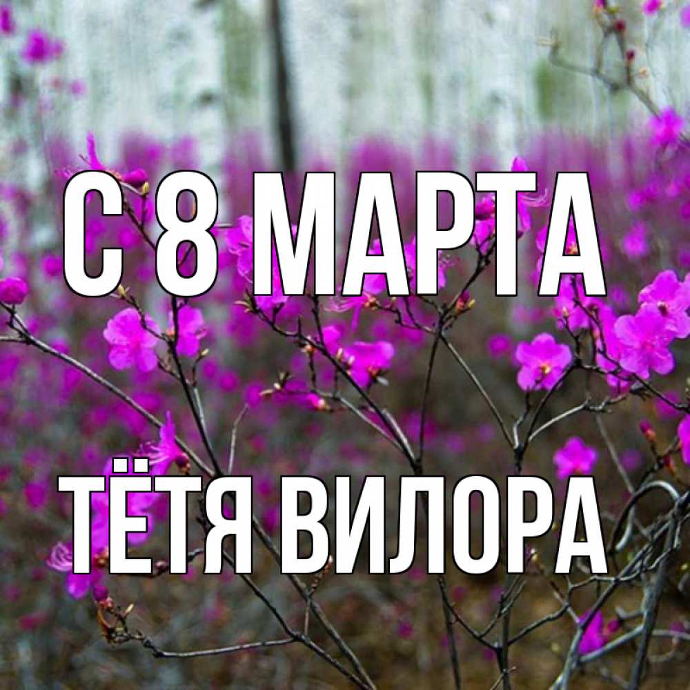 Открытка на каждый день с именем, Тётя-Вилора С 8 МАРТА дикие цветы Прикольная открытка с пожеланием онлайн скачать бесплатно 
