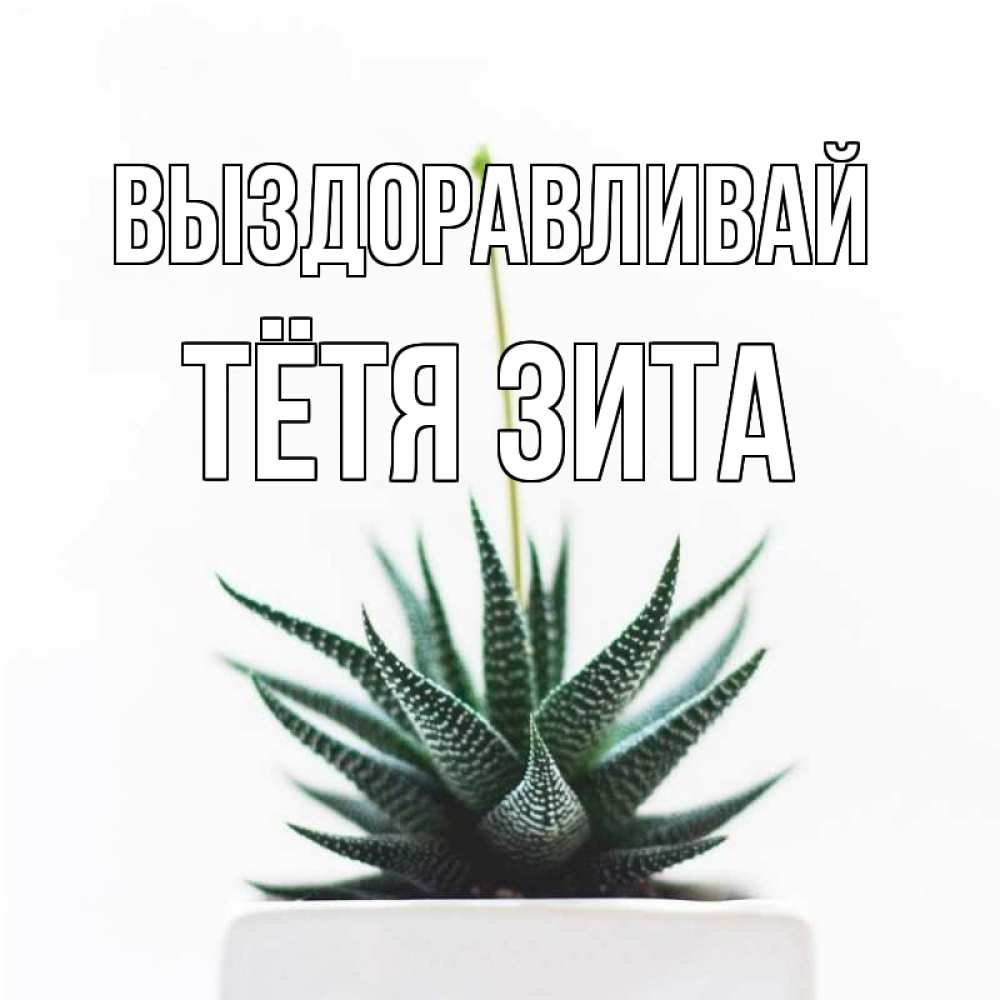 Открытка на каждый день с именем, Тётя-Зита Выздоравливай короче это непонятная колючка Прикольная открытка с пожеланием онлайн скачать бесплатно 