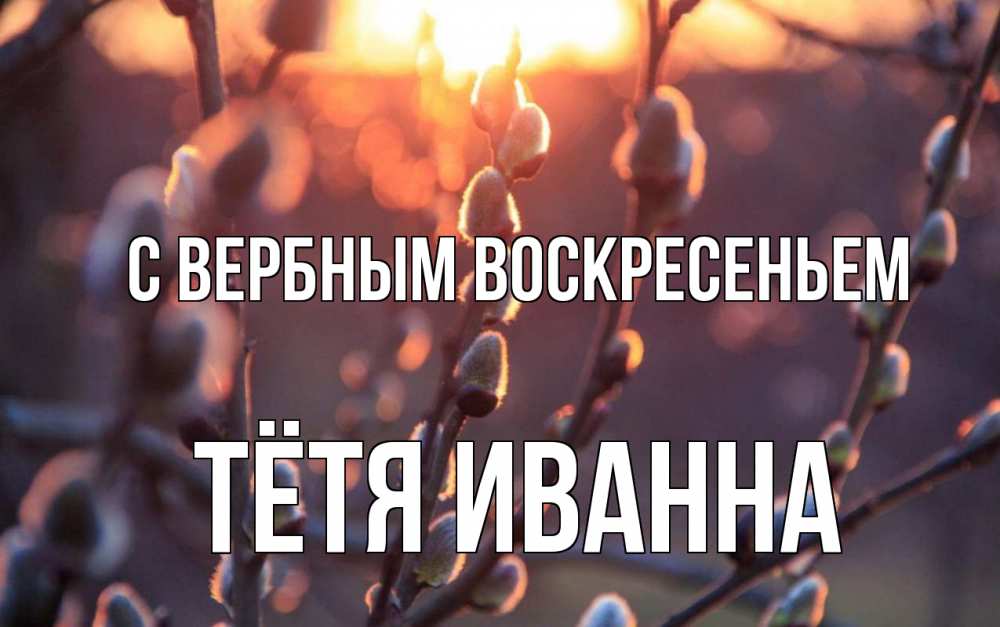 Открытка на каждый день с именем, Тётя-Иванна С вербным воскресеньем верба Прикольная открытка с пожеланием онлайн скачать бесплатно 