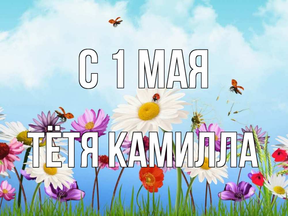 Открытка на каждый день с именем, Тётя-Камилла С 1 мая С 1 мая Прикольная открытка с пожеланием онлайн скачать бесплатно 
