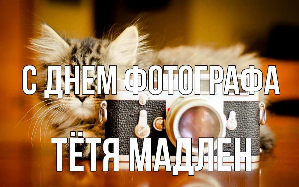 Открытка на каждый день с именем, Тётя-Мадлен С днем фотографа с днем фотографа Прикольная открытка с пожеланием онлайн скачать бесплатно 