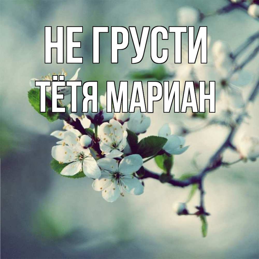 Открытка на каждый день с именем, Тётя-Мариан Не грусти яблоня в цвету 1 Прикольная открытка с пожеланием онлайн скачать бесплатно 