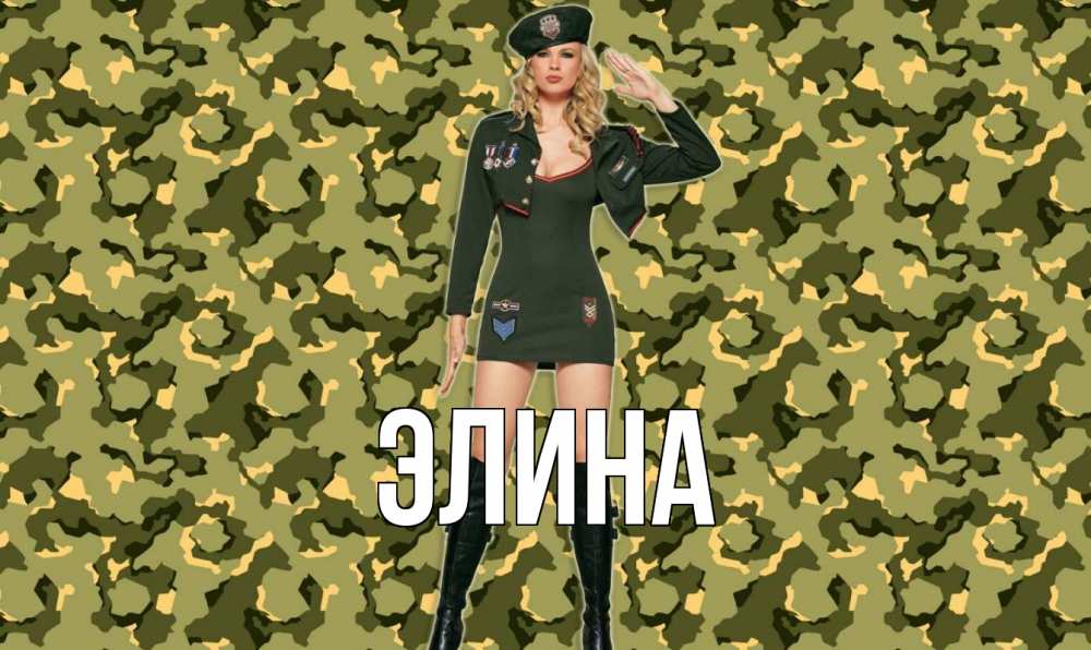 Открытка на каждый день с именем, Элина Главная 23 февраля Прикольная открытка с пожеланием онлайн скачать бесплатно 