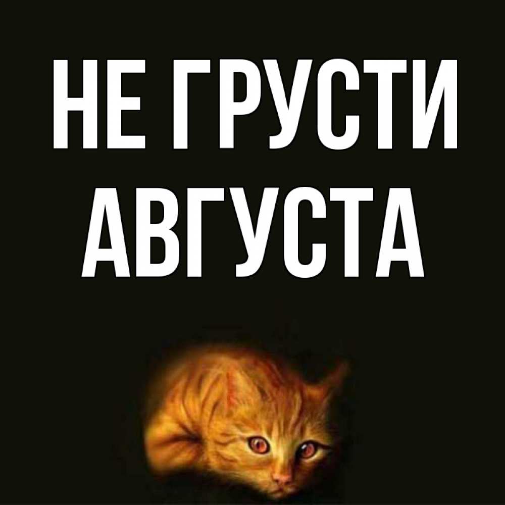 Открытка на каждый день с именем, Августа Не грусти лежащий кот в темноте Прикольная открытка с пожеланием онлайн скачать бесплатно 