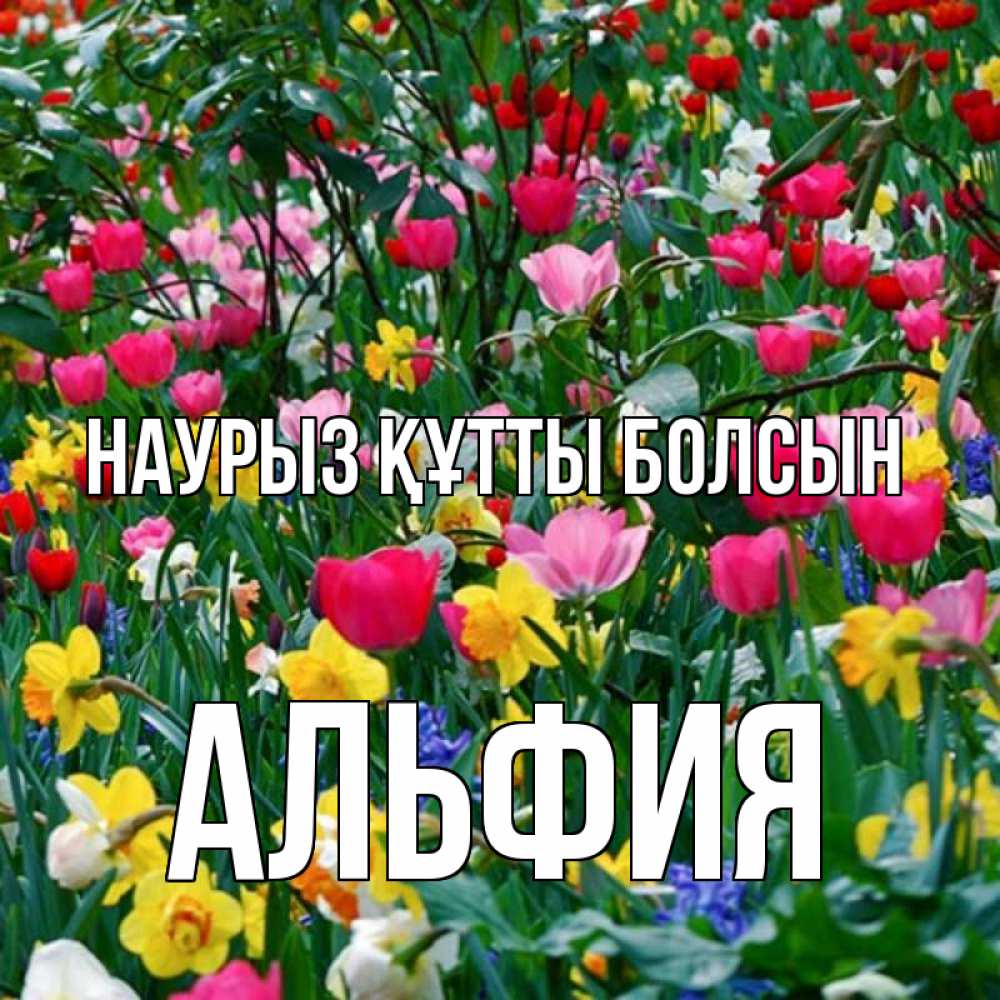 Открытка на каждый день с именем, Альфия Наурыз құтты болсын с наурызом поздравления для женщины Прикольная открытка с пожеланием онлайн скачать бесплатно 