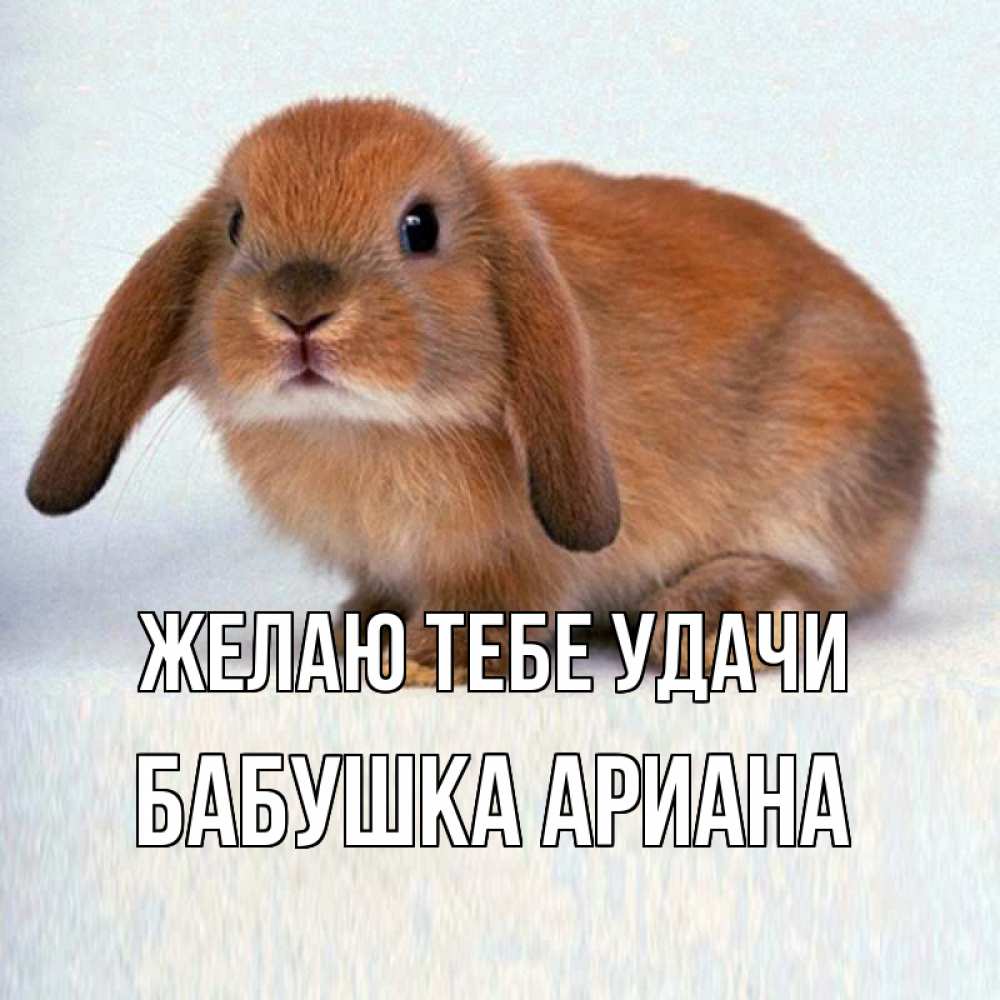 Открытка на каждый день с именем, Бабушка-Ариана Желаю тебе удачи вставить текст в открытку по выбору Прикольная открытка с пожеланием онлайн скачать бесплатно 