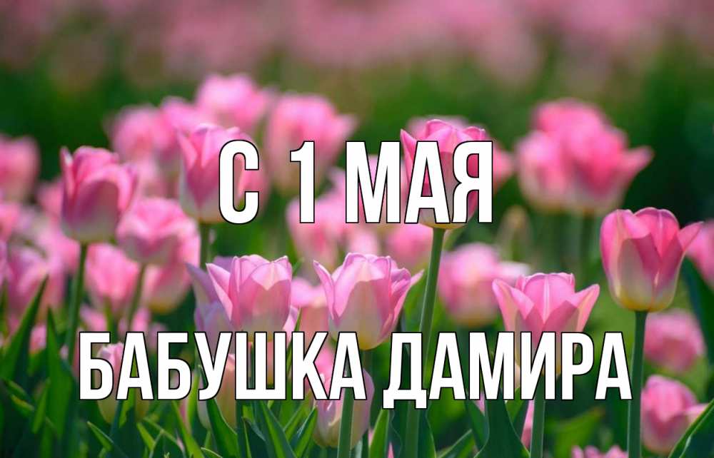 Открытка на каждый день с именем, Бабушка-Дамира С 1 мая С 1 мая Прикольная открытка с пожеланием онлайн скачать бесплатно 