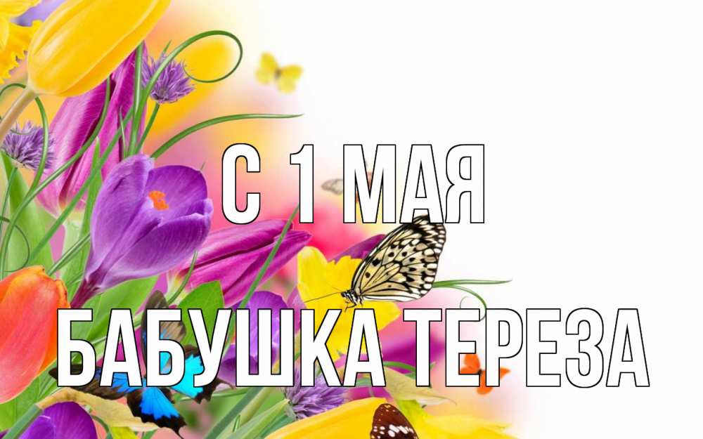 Открытка на каждый день с именем, Бабушка-Тереза С 1 мая С 1 мая Прикольная открытка с пожеланием онлайн скачать бесплатно 