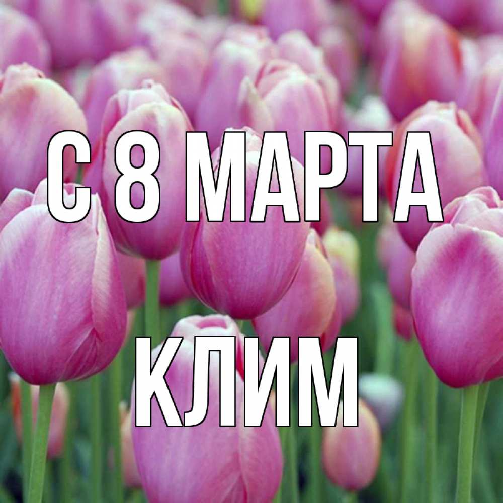 Открытка на каждый день с именем, Клим С 8 марта на международный женский день 3 Прикольная открытка с пожеланием онлайн скачать бесплатно 