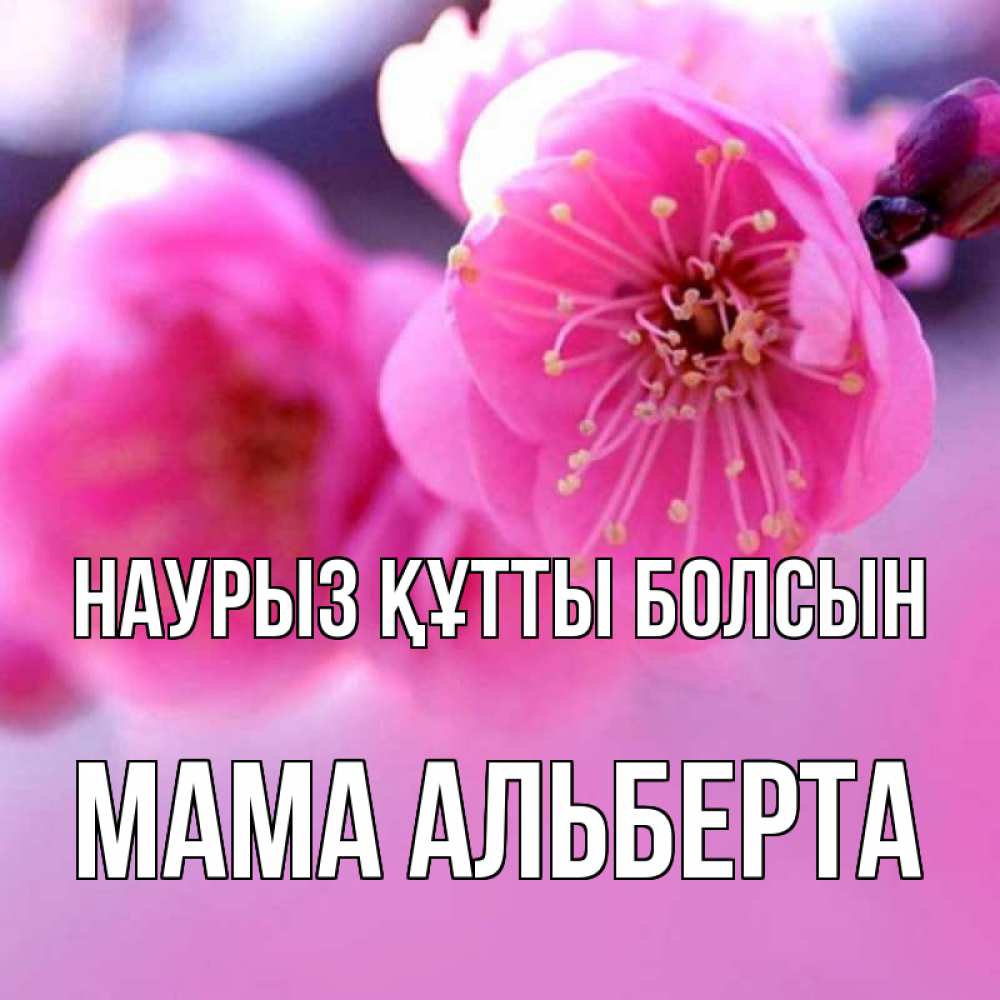 Открытка на каждый день с именем, Мама-Альберта Наурыз құтты болсын наурыз мейрам Прикольная открытка с пожеланием онлайн скачать бесплатно 