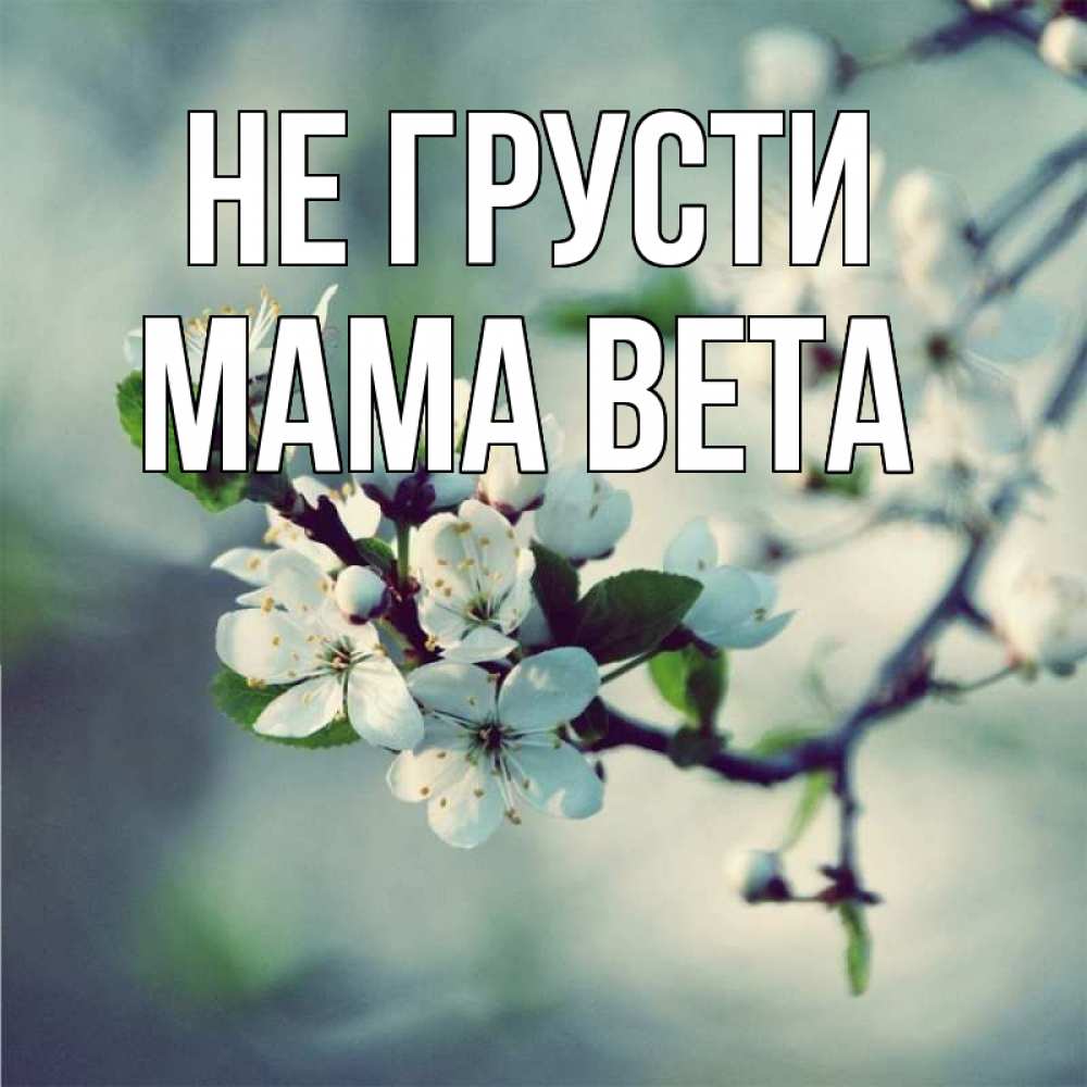 Открытка на каждый день с именем, Мама-Вета Не грусти яблоня в цвету 1 Прикольная открытка с пожеланием онлайн скачать бесплатно 