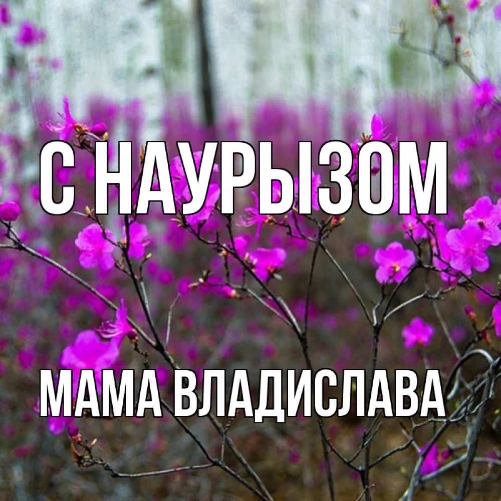 Открытка на каждый день с именем, Мама-Владислава С наурызом дикие цветы Прикольная открытка с пожеланием онлайн скачать бесплатно 