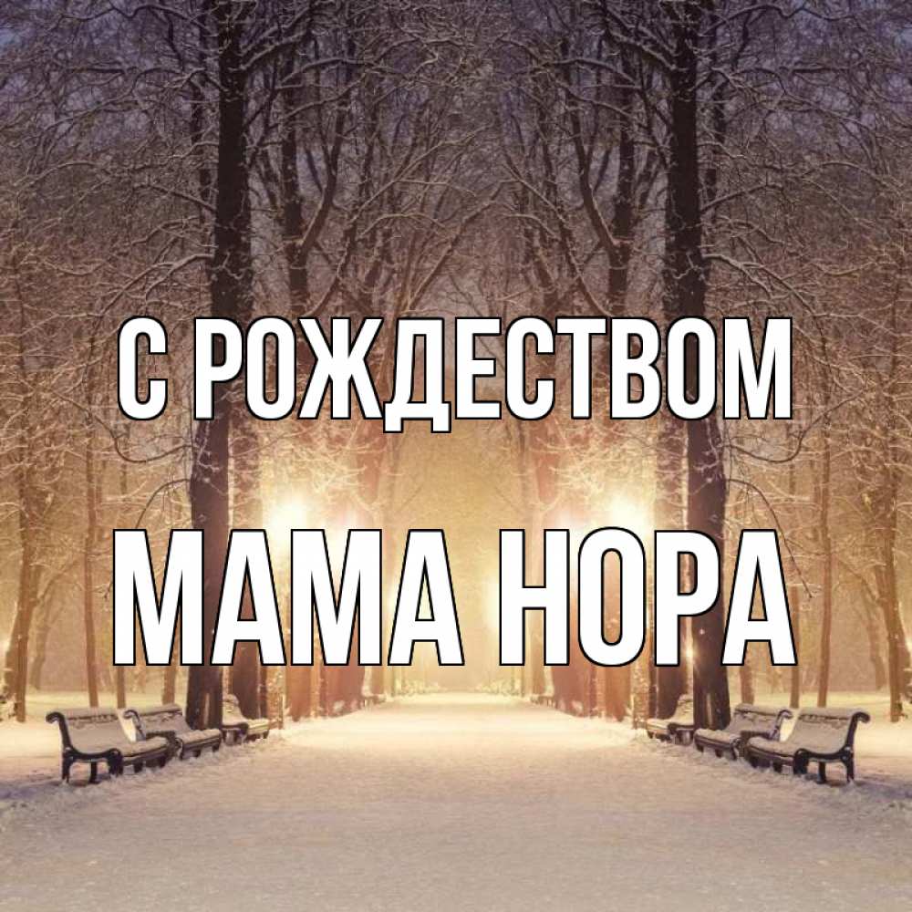 Открытка на каждый день с именем, Мама-Нора С рождеством зима, парк, фонарь, лес Прикольная открытка с пожеланием онлайн скачать бесплатно 