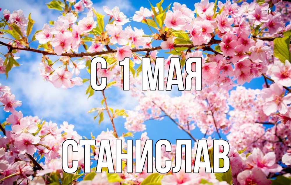 Открытка на каждый день с именем, Станислав С 1 мая С 1 мая Прикольная открытка с пожеланием онлайн скачать бесплатно 