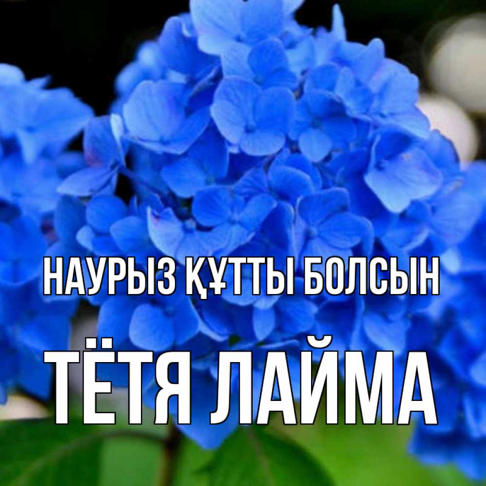 Открытка на каждый день с именем, Тётя-Лайма Наурыз құтты болсын синие цветы Прикольная открытка с пожеланием онлайн скачать бесплатно 