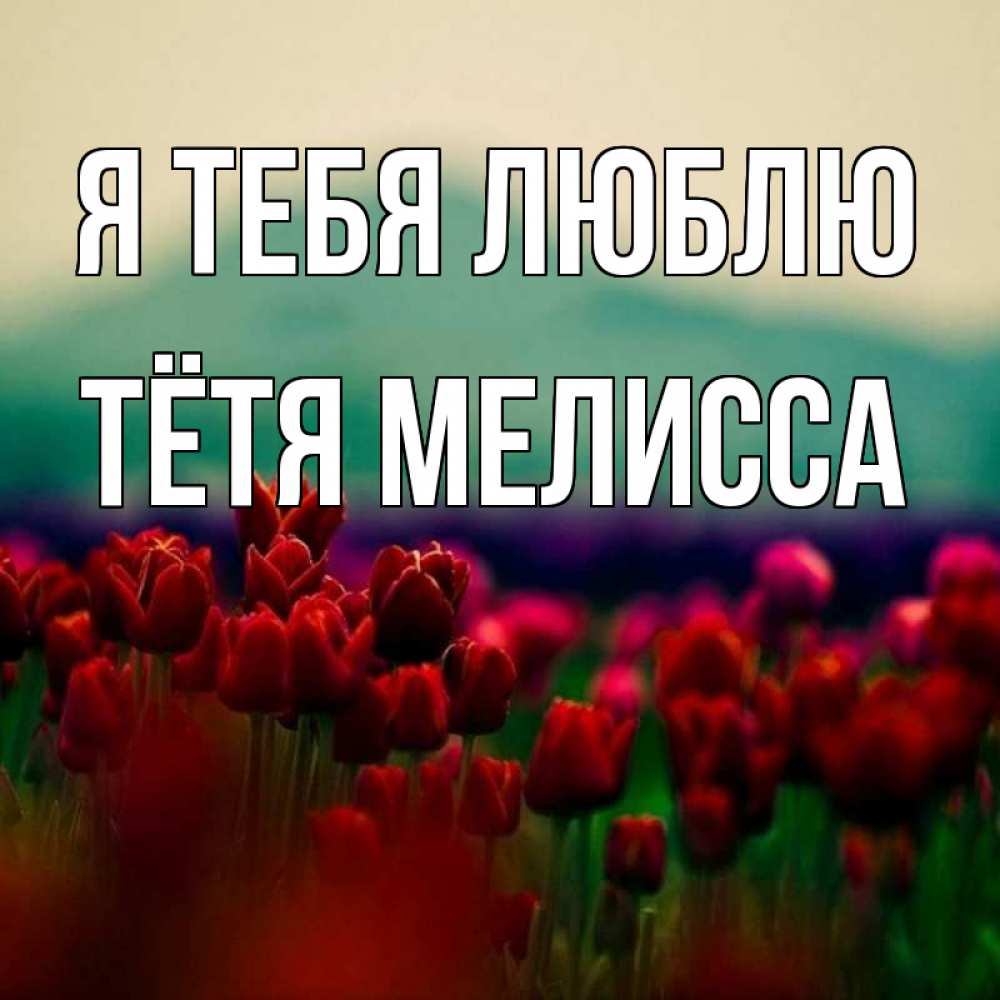 Открытка на каждый день с именем, Тётя-Мелисса Я тебя люблю тюльпаны 4 Прикольная открытка с пожеланием онлайн скачать бесплатно 