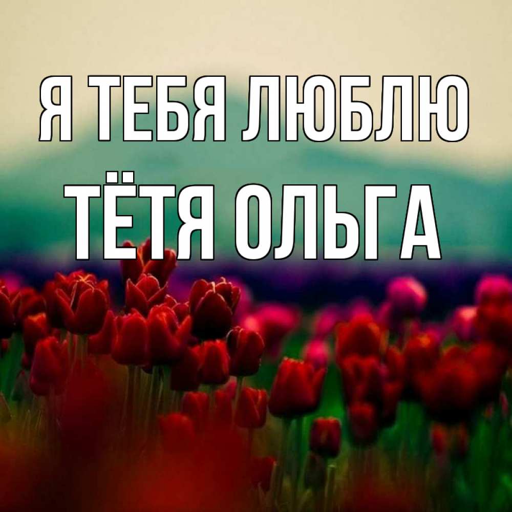 Открытка на каждый день с именем, Тётя-Ольга Я тебя люблю тюльпаны 4 Прикольная открытка с пожеланием онлайн скачать бесплатно 