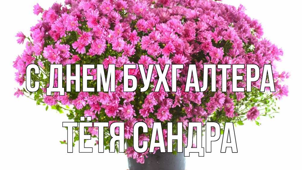 Открытка на каждый день с именем, Тётя-Сандра С днем бухгалтера с днем бухгалтера Прикольная открытка с пожеланием онлайн скачать бесплатно 