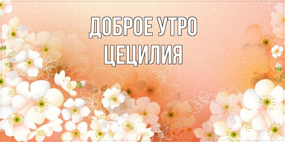 Открытка на каждый день с именем, Цецилия Доброе утро доброе утро с цветами Прикольная открытка с пожеланием онлайн скачать бесплатно 