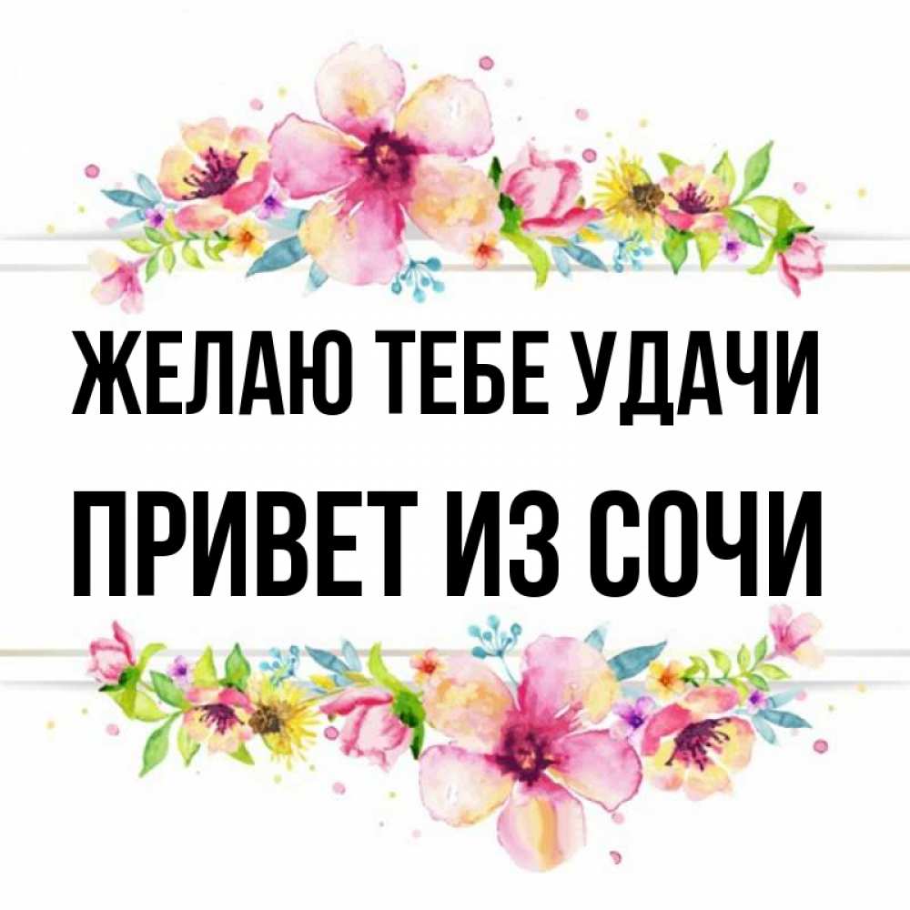 Привет сочи картинки