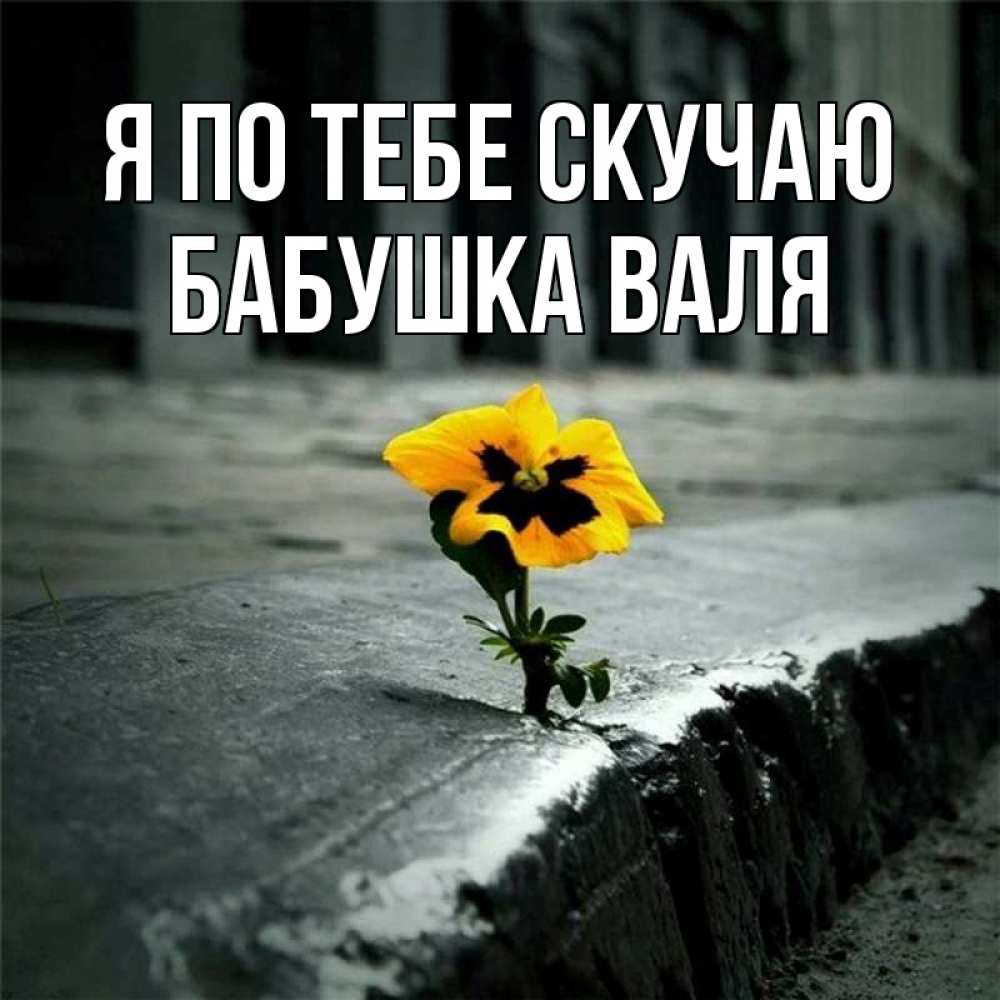 Открытка на каждый день с именем, Бабушка-Валя Я по тебе скучаю надеюсь будет лучше Прикольная открытка с пожеланием онлайн скачать бесплатно 