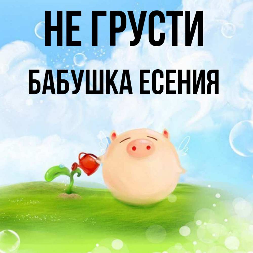 Открытка на каждый день с именем, Бабушка-Есения Не грусти поливает цветок порося Прикольная открытка с пожеланием онлайн скачать бесплатно 