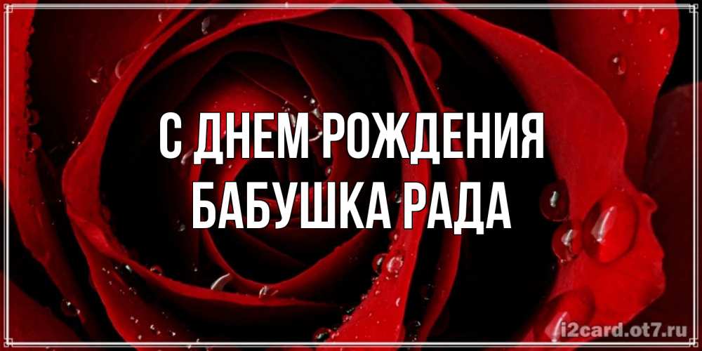Открытка на каждый день с именем, Бабушка-Рада С днем рождения крупная бордовая роза Прикольная открытка с пожеланием онлайн скачать бесплатно 