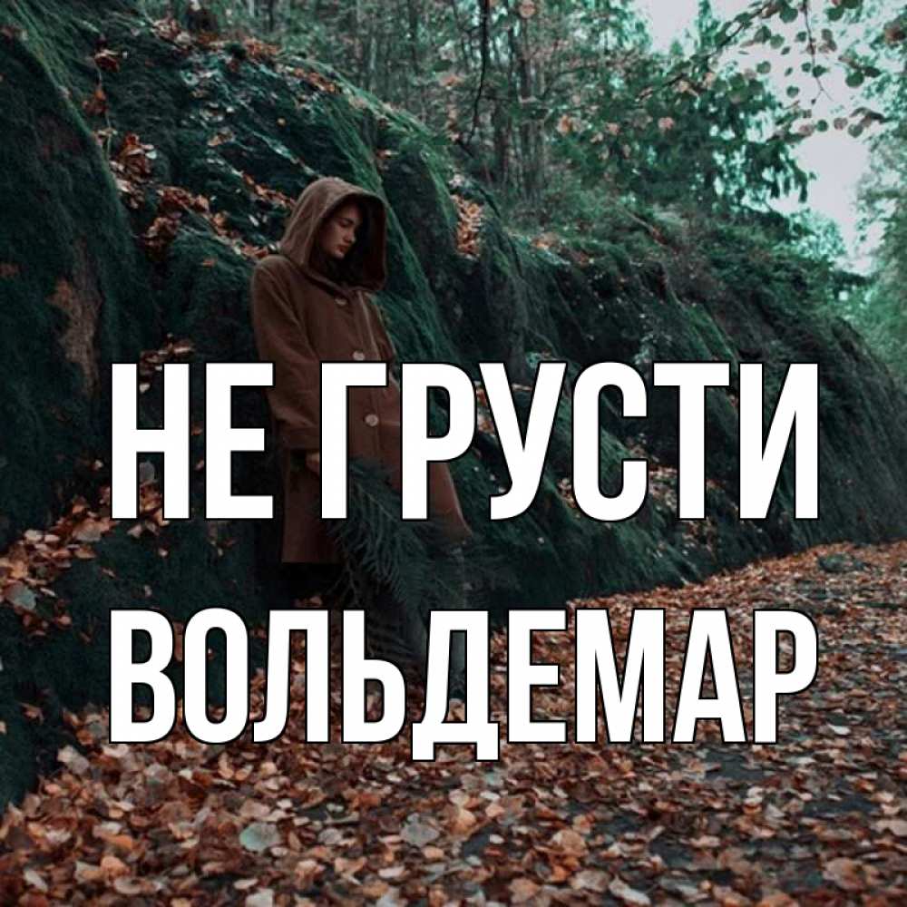 Открытка на каждый день с именем, Вольдемар Не грусти осенний лес Прикольная открытка с пожеланием онлайн скачать бесплатно 