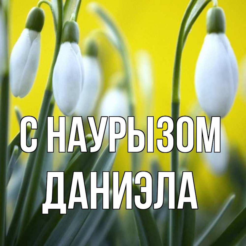 Открытка на каждый день с именем, Даниэла С наурызом весенние цветы Прикольная открытка с пожеланием онлайн скачать бесплатно 