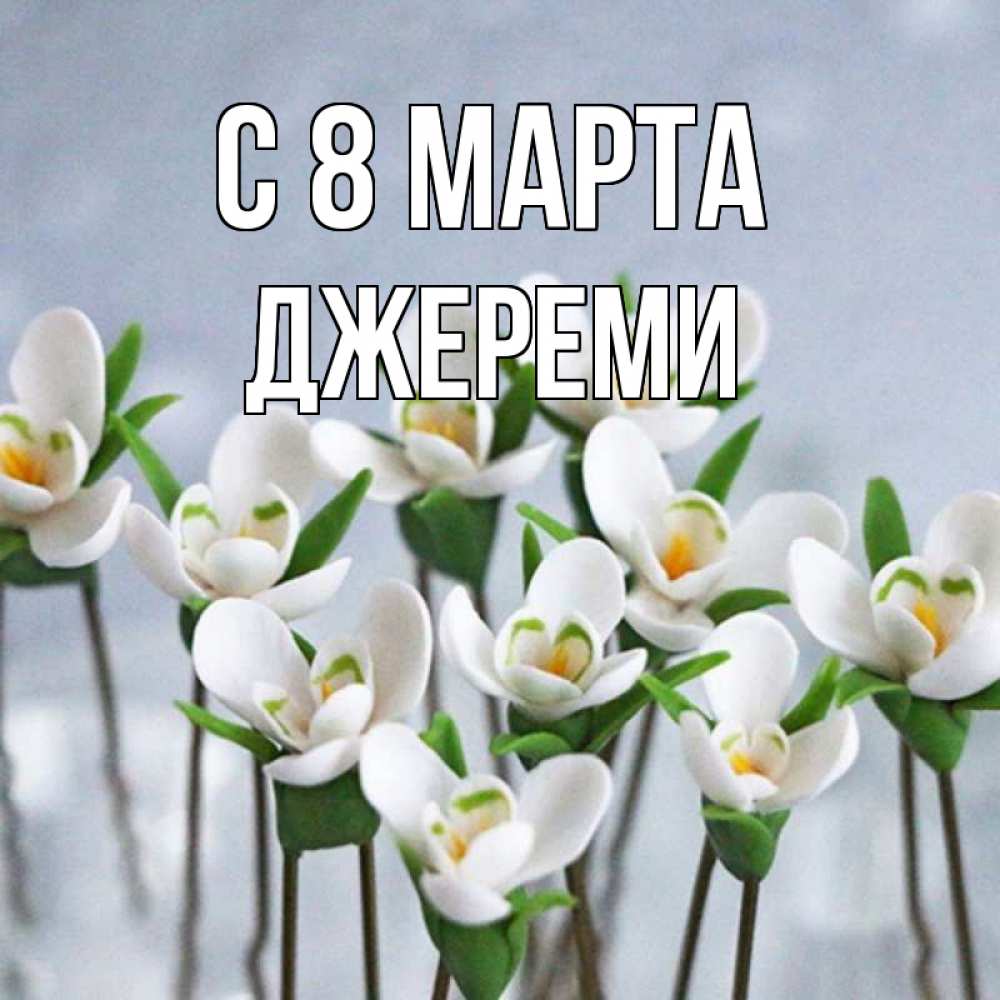 Открытка на каждый день с именем, Джереми С 8 марта весенние цветы Прикольная открытка с пожеланием онлайн скачать бесплатно 