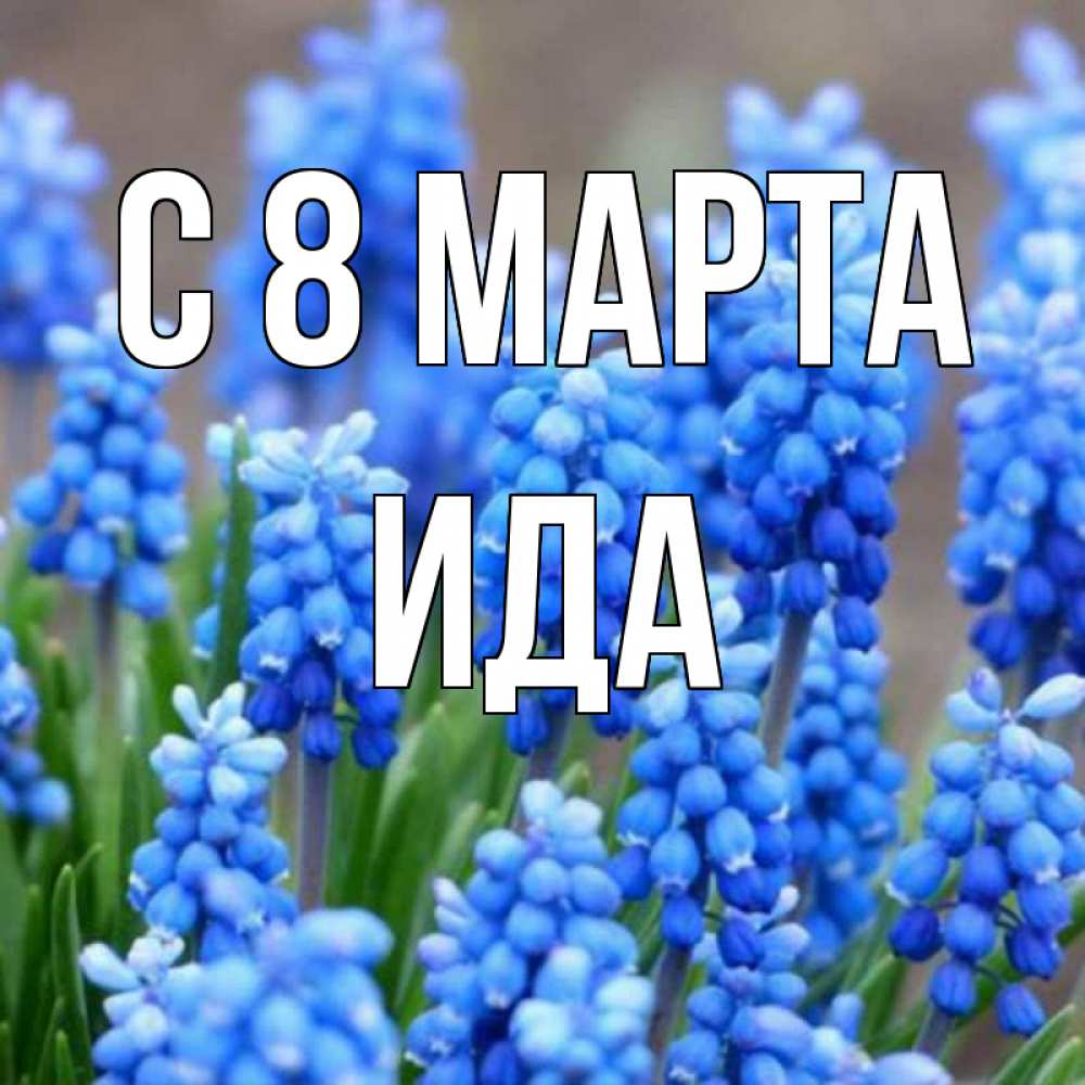 Открытка на каждый день с именем, Ида С 8 МАРТА Поздравительная открытка для женщин с цветами на праздничную дату Прикольная открытка с пожеланием онлайн скачать бесплатно 
