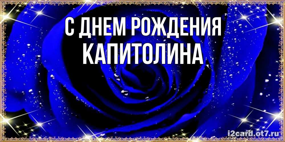 Открытка на каждый день с именем, Капитолина С днем рождения голубые цветы в росе Прикольная открытка с пожеланием онлайн скачать бесплатно 