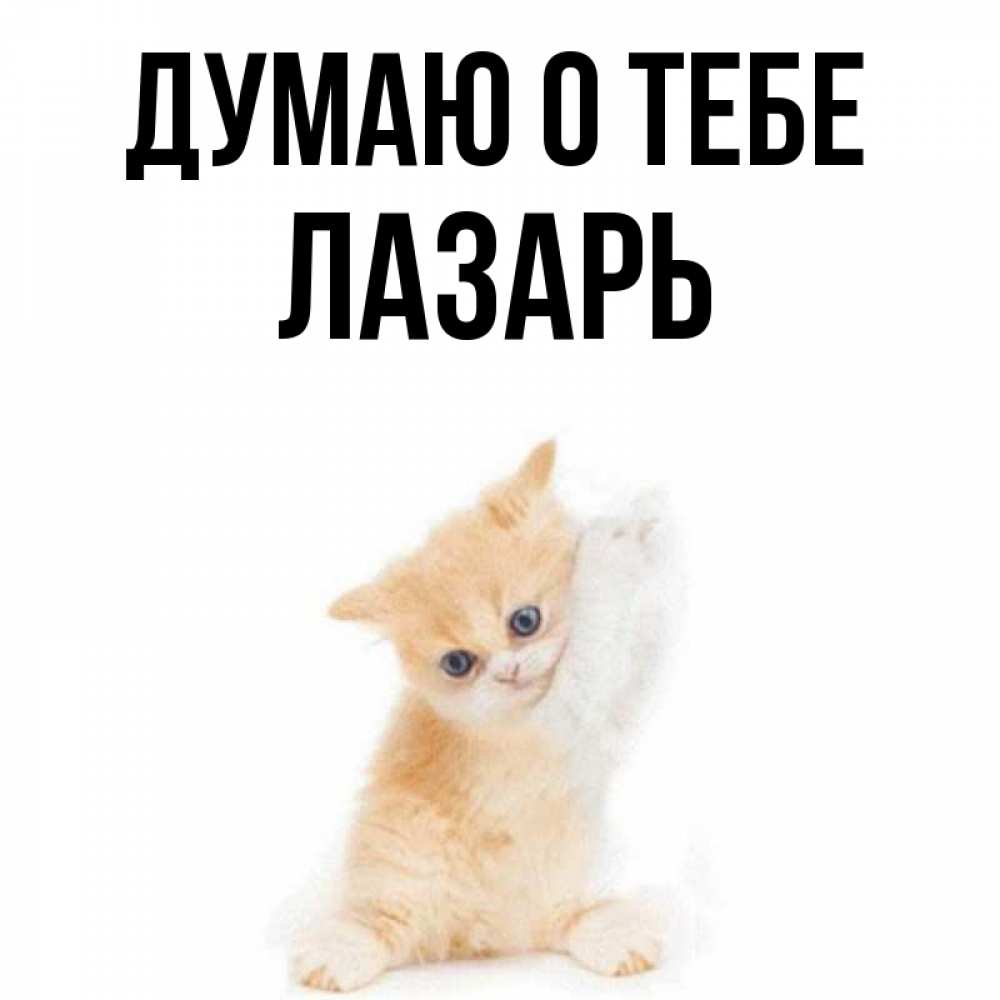 Открытка на каждый день с именем, Лазарь Думаю о тебе зверушки и милота Прикольная открытка с пожеланием онлайн скачать бесплатно 