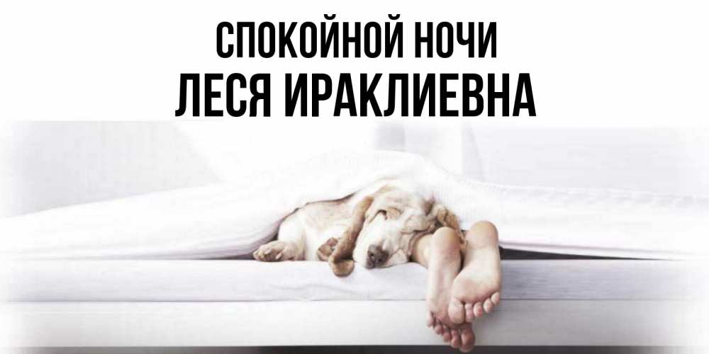 Открытка на каждый день с именем, Леся-Ираклиевна Спокойной ночи кровать с собакой пожелание сладких снов и спокойной ночи Прикольная открытка с пожеланием онлайн скачать бесплатно 
