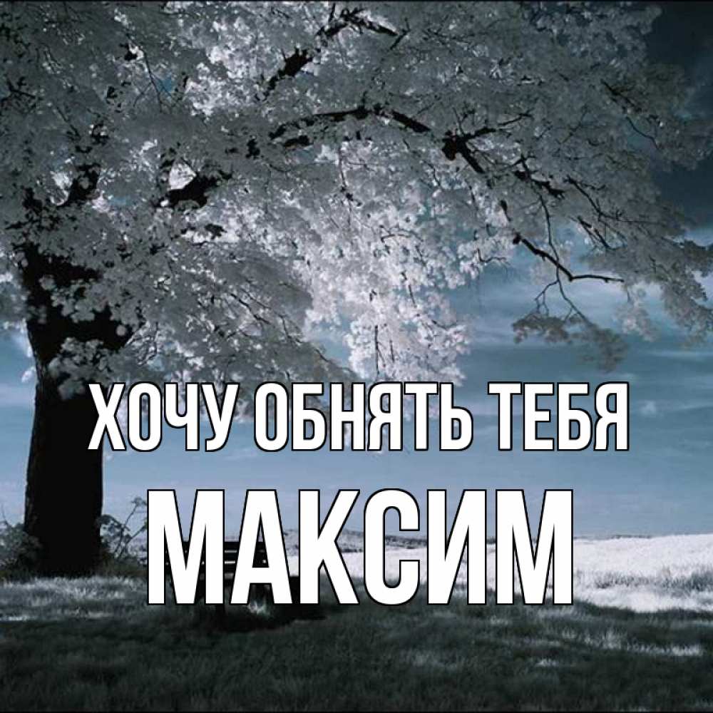Открытка на каждый день с именем, Максим Хочу обнять тебя дерево Прикольная открытка с пожеланием онлайн скачать бесплатно 