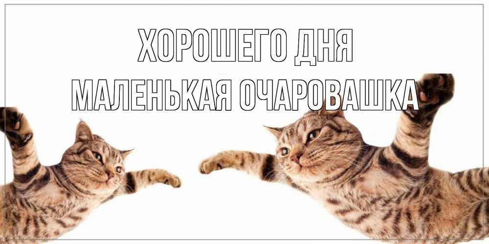 Открытка на каждый день с именем, Маленькая-Очаровашка Хорошего дня хорошего дня Прикольная открытка с пожеланием онлайн скачать бесплатно 