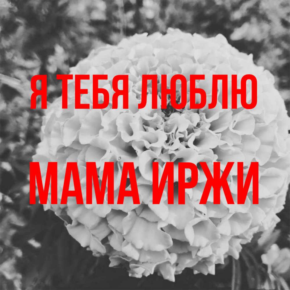 Открытка на каждый день с именем, Мама-Иржи Я тебя люблю подпись Прикольная открытка с пожеланием онлайн скачать бесплатно 