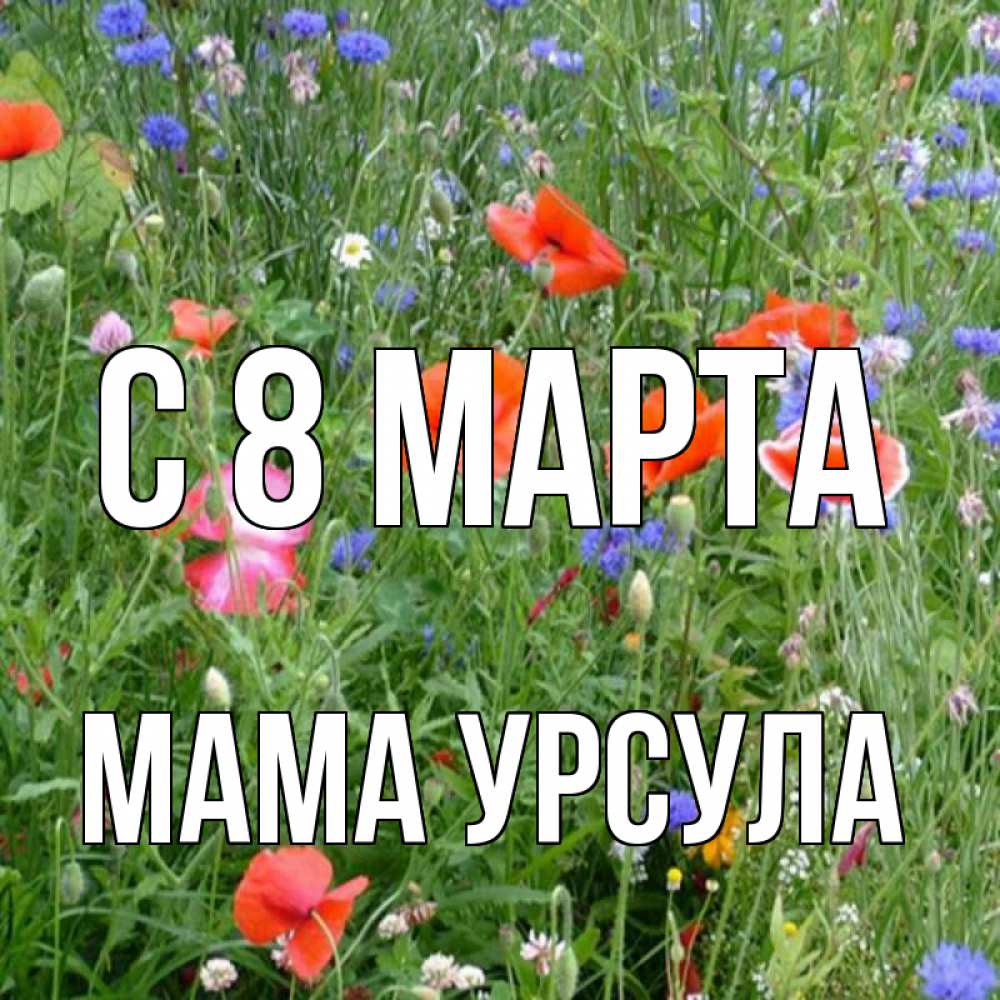 Открытка на каждый день с именем, Мама-Урсула С 8 МАРТА международный женский день 4 Прикольная открытка с пожеланием онлайн скачать бесплатно 