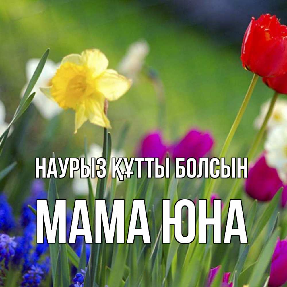Открытка на каждый день с именем, Мама-Юна Наурыз құтты болсын наурыз  3 открытки Прикольная открытка с пожеланием онлайн скачать бесплатно 
